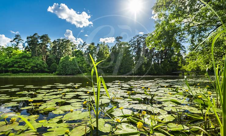 Лот-10253-405117 продажа участка Москва Серебряный бор