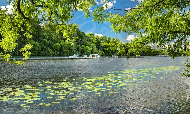 Лот-5840-405131 продажа участка Москва Серебряный бор