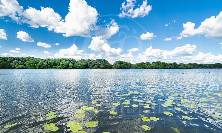 Лот-11113-405139 продажа дома Москва Серебряный бор