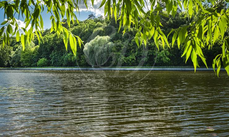 Лот-11113-405145 продажа дома Москва Серебряный бор