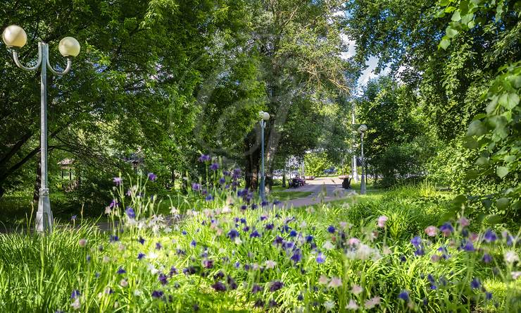 Лот-11113-405148 продажа дома Москва Серебряный бор