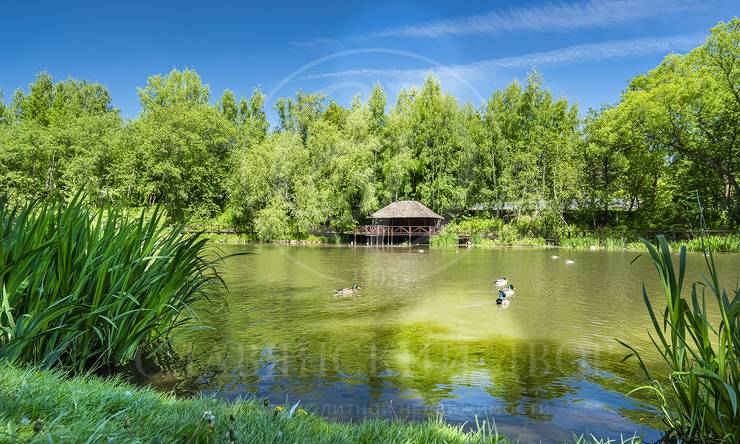 Лот-10297-405764 продажа участка 2-е Успенское шоссе Николино