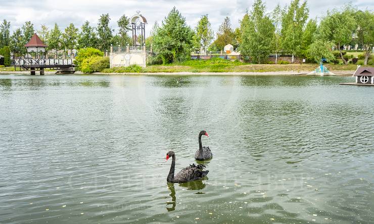 Лот-2752-405858 продажа дома Новорижское шоссе Княжье Озеро