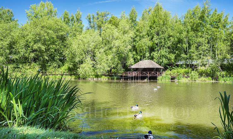 Лот-8667-405947 аренда дома 2-е Успенское шоссе Николино