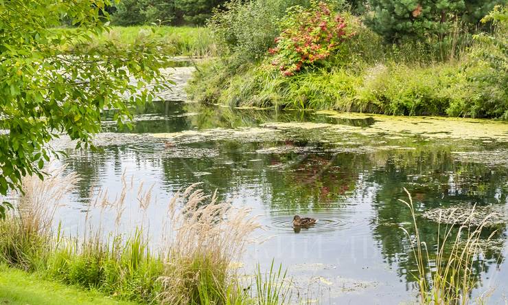 Лот-8497-405965 продажа дома Новорижское шоссе Бенилюкс