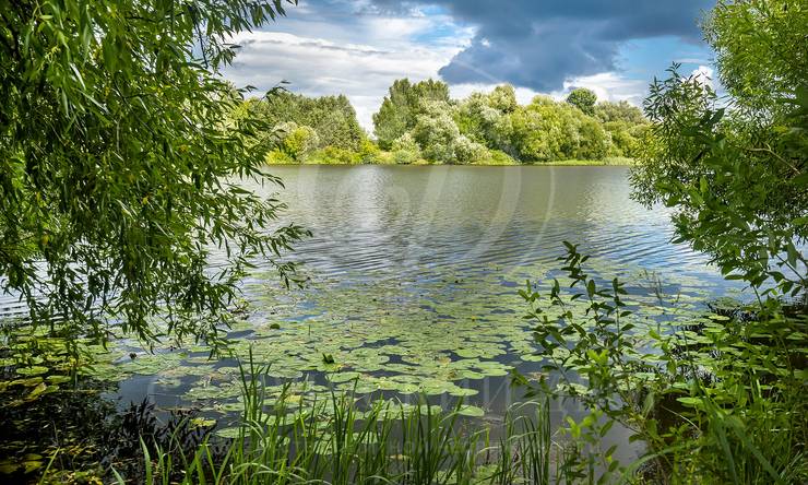 Лот-4579-407757 продажа дома Рублево-Успенское шоссе Жуковка 21 (XXI)