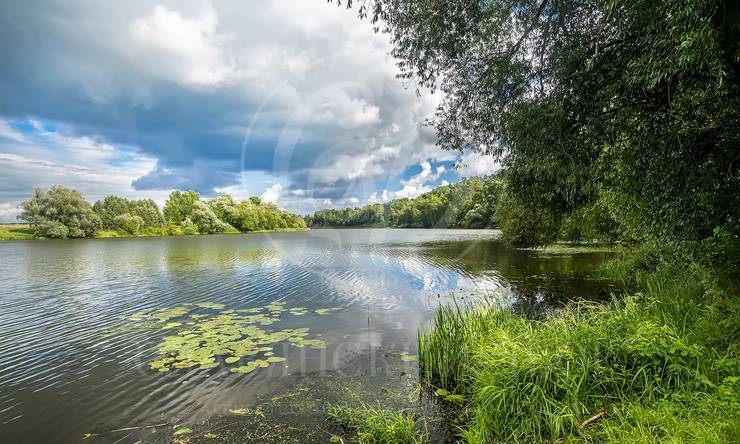 Лот-4579-407759 продажа дома Рублево-Успенское шоссе Жуковка 21 (XXI)