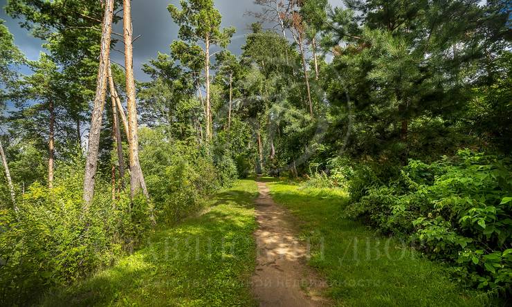 Лот-4579-407763 продажа дома Рублево-Успенское шоссе Жуковка 21 (XXI)