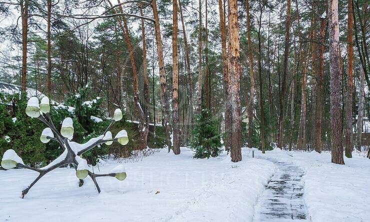 Лот-11846-407993 аренда дома Рублево-Успенское шоссе Николина гора