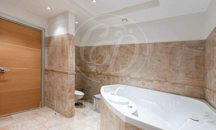 Лот-11860-408881 аренда дома Москва Остров-фантазий