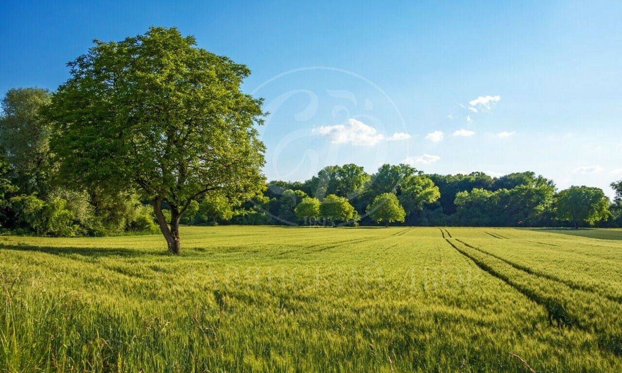 Продажа участка в поселке Николино (Новое Николино)