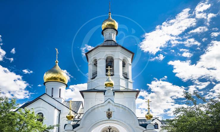 Лот-11910-410872 продажа участка Рублево-Успенское шоссе Горки-8