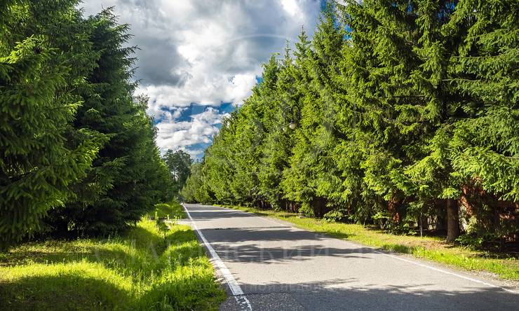 Лот-6685-410886 продажа дома Рублево-Успенское шоссе Горки-8