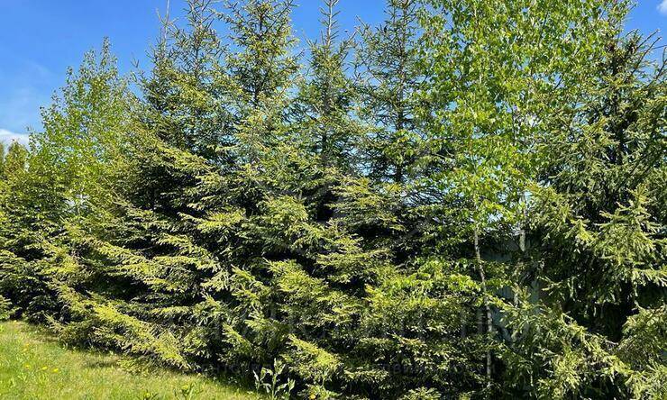 Лот-11951-412785 аренда дома Рублево-Успенское шоссе Глухово