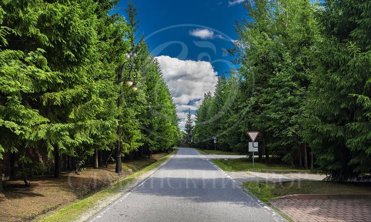 Лот-10273-412866 продажа участка Рублево-Успенское шоссе Горки-8