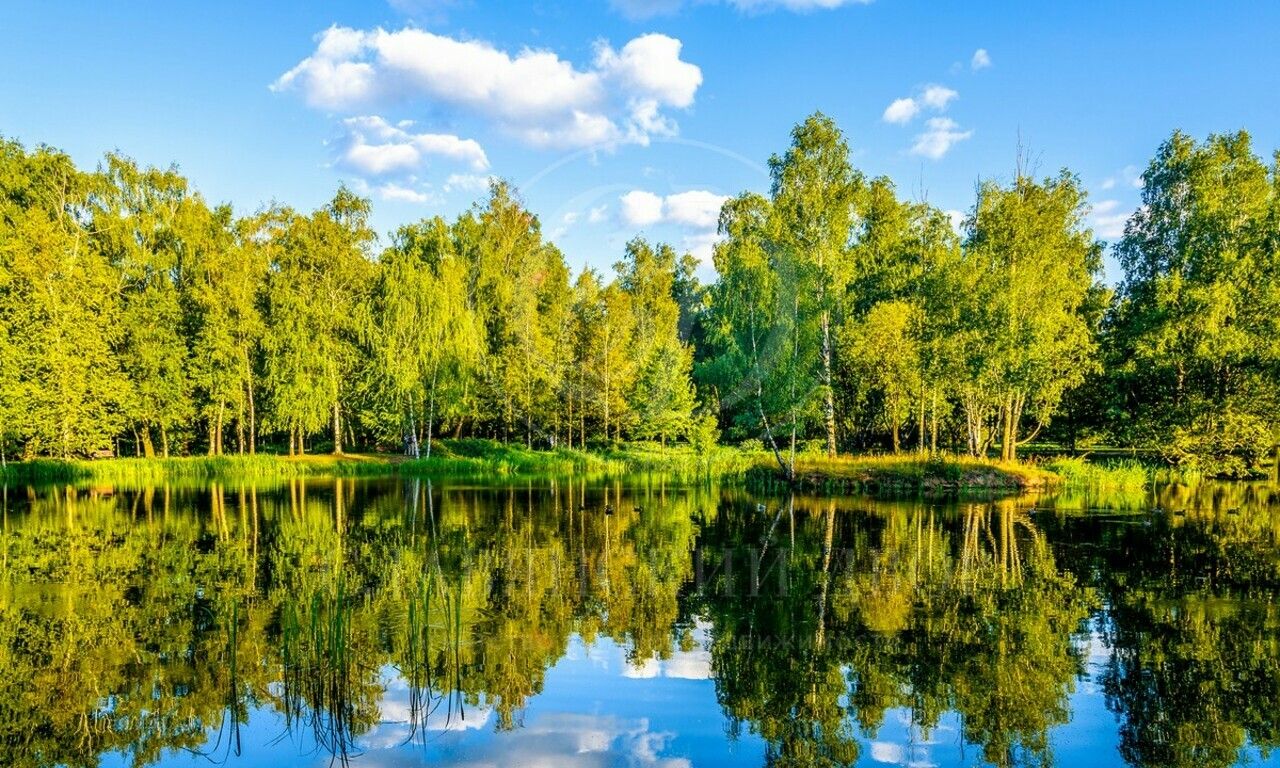 Продажа участка в поселке Камыши