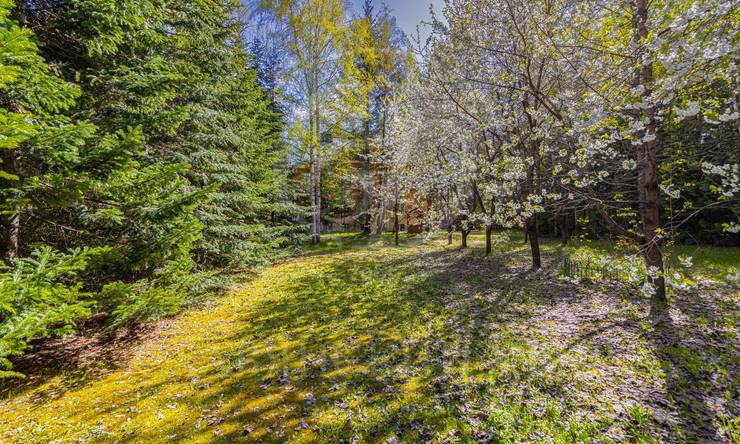 Лот-11956-414067 продажа участка Рублево-Успенское шоссе Жуковка Правая сторона