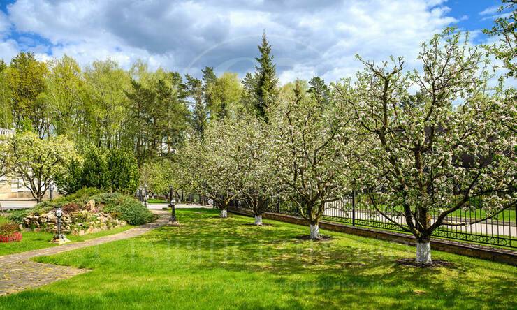 Лот-12011-416103 продажа дома Новорижское шоссе 3 Охота