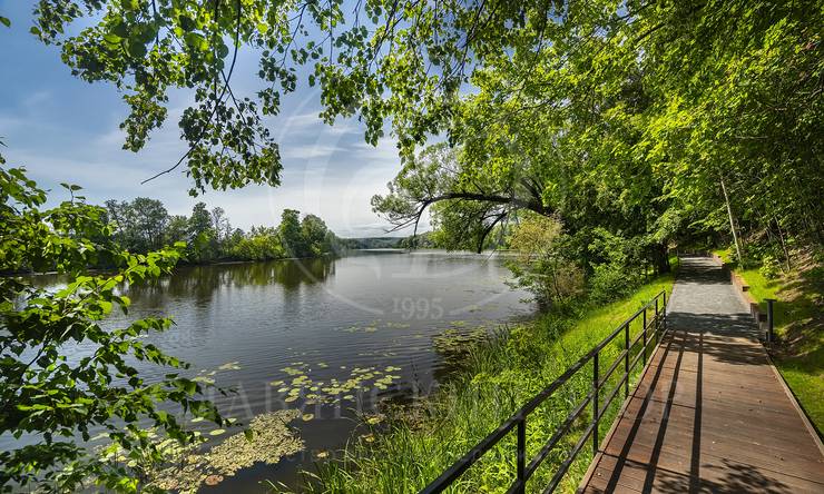 Лот-4309-416856 продажа участка Рублево-Успенское шоссе Косыгинские Дачи