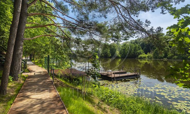 Лот-4309-416866 продажа участка Рублево-Успенское шоссе Косыгинские Дачи