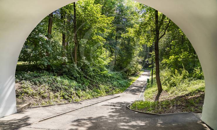 Лот-4309-416867 продажа участка Рублево-Успенское шоссе Косыгинские Дачи