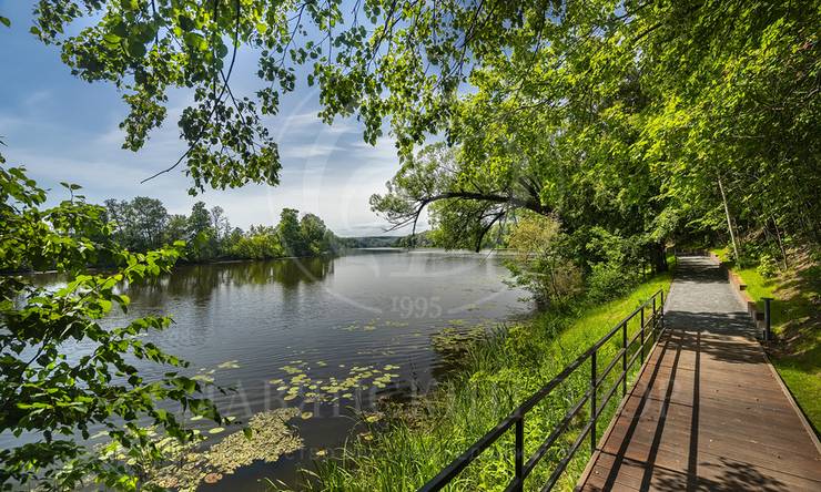 Лот-9930-416994 продажа участка Рублево-Успенское шоссе Архангельское