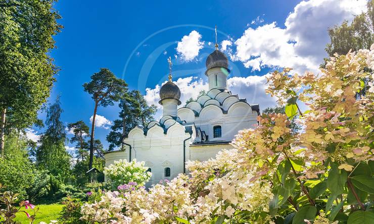 Лот-9930-417008 продажа участка Рублево-Успенское шоссе Архангельское