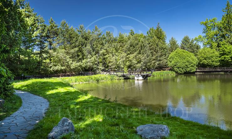 Лот-11908-417116 продажа участка 1-е Успенское шоссе Николино (Новое Николино)