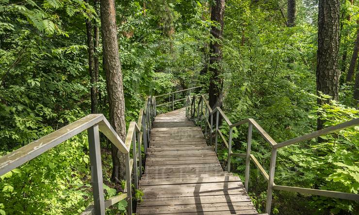 Лот-251-417464 продажа дома Рублево-Успенское шоссе Косыгинские Дачи