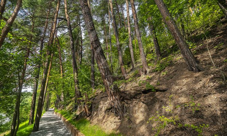 Лот-10882-417509 продажа участка Рублево-Успенское шоссе Архангельское