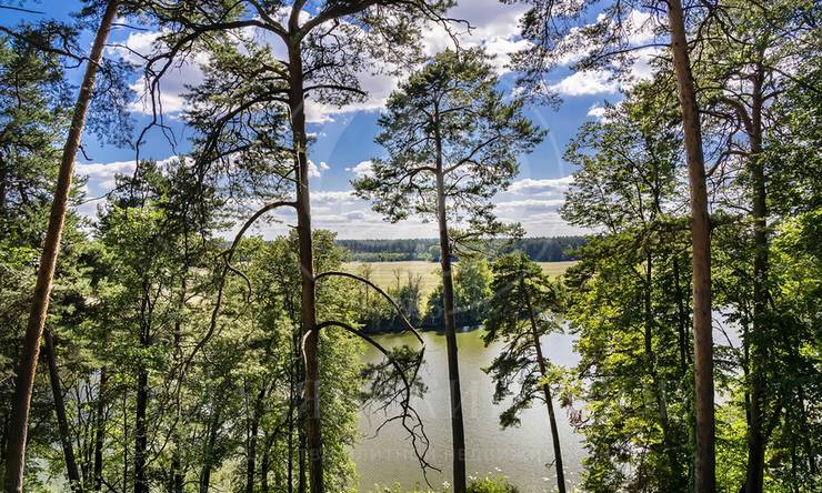 Лот-10882-417519 продажа участка Рублево-Успенское шоссе Архангельское