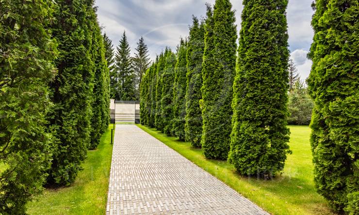 Лот-11914-419924 аренда дома Рублево-Успенское шоссе Ильинское поле