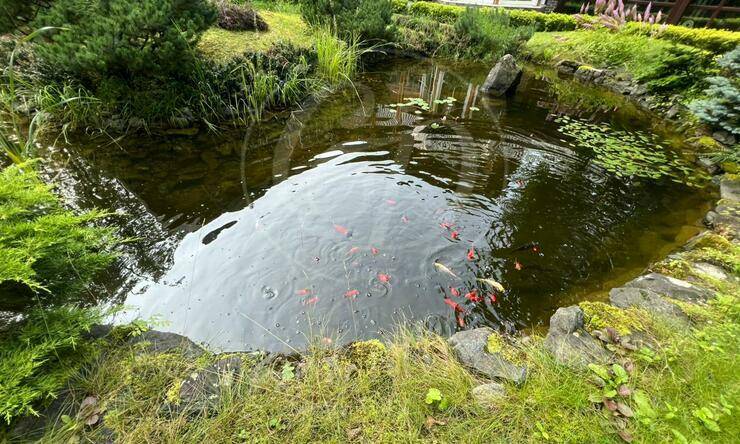 Лот-7334-421854 аренда дома Рублево-Успенское шоссе Ильинские дачи
