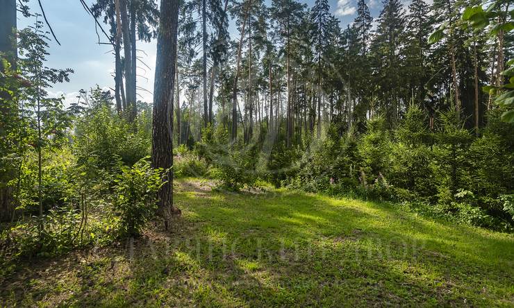 Лот-8631-423103 продажа дома Рублево-Успенское шоссе Сады Майендорф (бывшая территория санатория Барвиха)