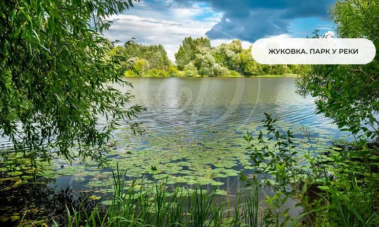 Лот-12126-423198 продажа участка Рублево-Успенское шоссе Жуковка 21 (XXI)