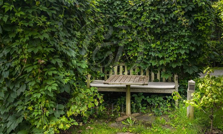 Лот-12092-423405 аренда дома Рублево-Успенское шоссе Липки