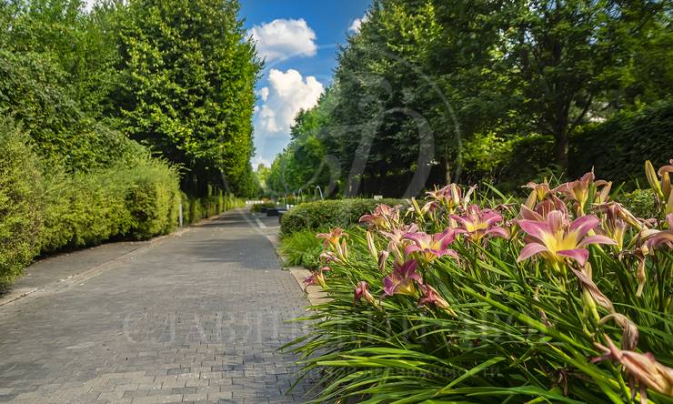 Лот-621-424188 посёлок Жуковка 21 (XXI) Рублево-Успенское шоссе Жуковка