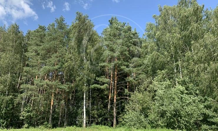 Лот-12190-427092 продажа участка 1-е Успенское шоссе Николино (Новое Николино)