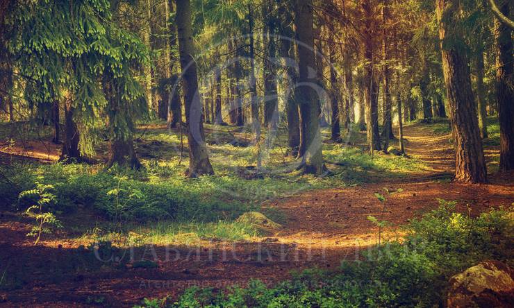 Лот-12233-430356 продажа дома Москва Серебряный бор