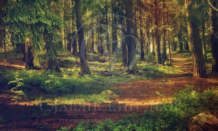 Лот-12232-430357 продажа дома Москва Серебряный бор