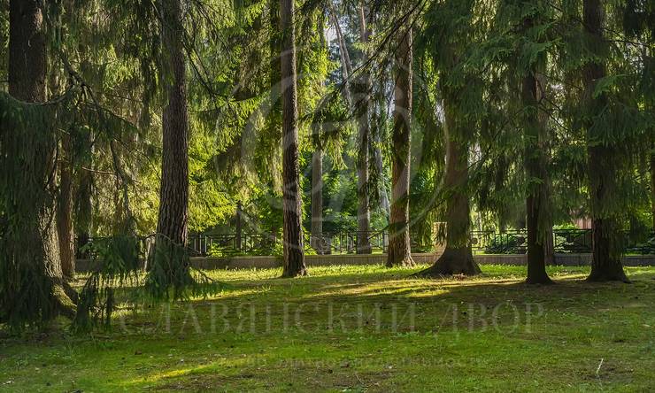 Лот-879-430489 аренда дома Рублево-Успенское шоссе Сады Майендорф (бывшая территория санатория Барвиха)