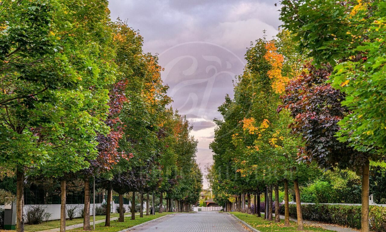 Продажа участка в поселке Бенилюкс