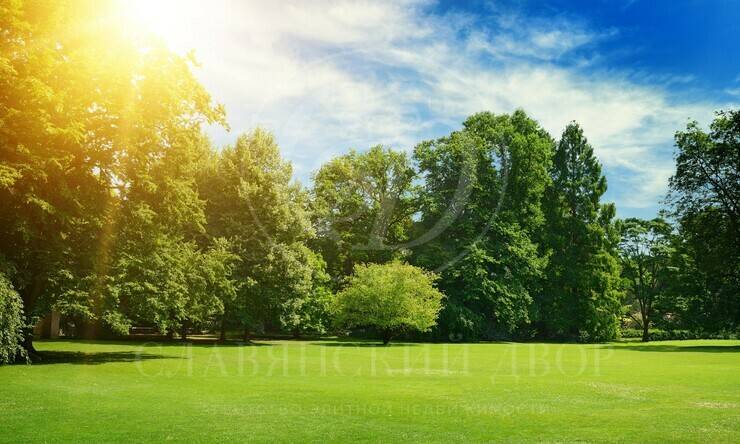 Лот-12182-434829 продажа участка Рублево-Успенское шоссе Жуковка Правая сторона