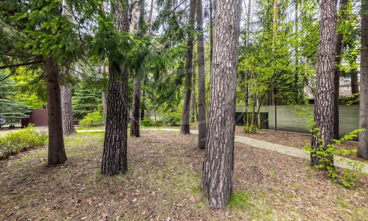 Лот-12163-435192 продажа дома Минское шоссе Грибово