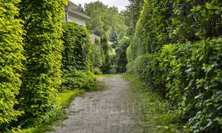 Лот-12092-436856 аренда дома Рублево-Успенское шоссе Липки