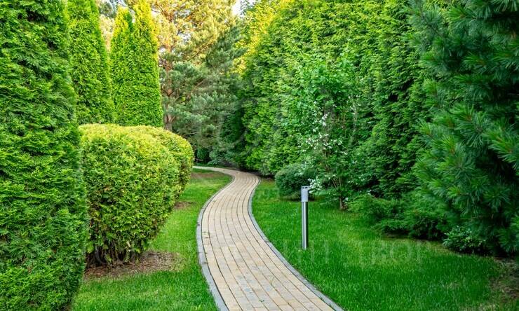 Лот-12058-437464 аренда дома Новорижское шоссе Миллениум парк