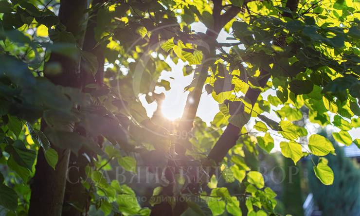 Лот-12058-437471 аренда дома Новорижское шоссе Миллениум парк