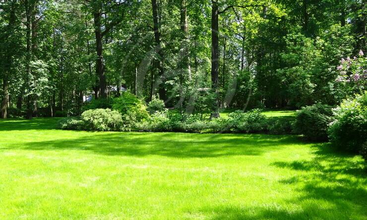 Лот-12042-437599 продажа участка Рублево-Успенское шоссе Жуковка ГП-4