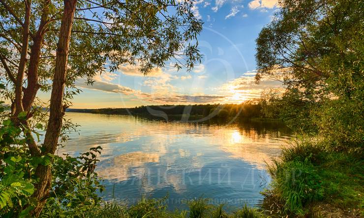 Лот-11959-440644 продажа участка 1-е Успенское шоссе Успенские Дачи