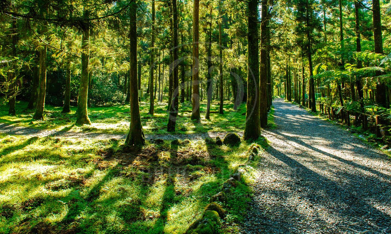 Продажа участка в поселке Никольская слобода